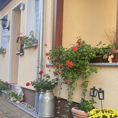 Ferienwohnung „Thea“ Bad Lausick Buitenkant foto