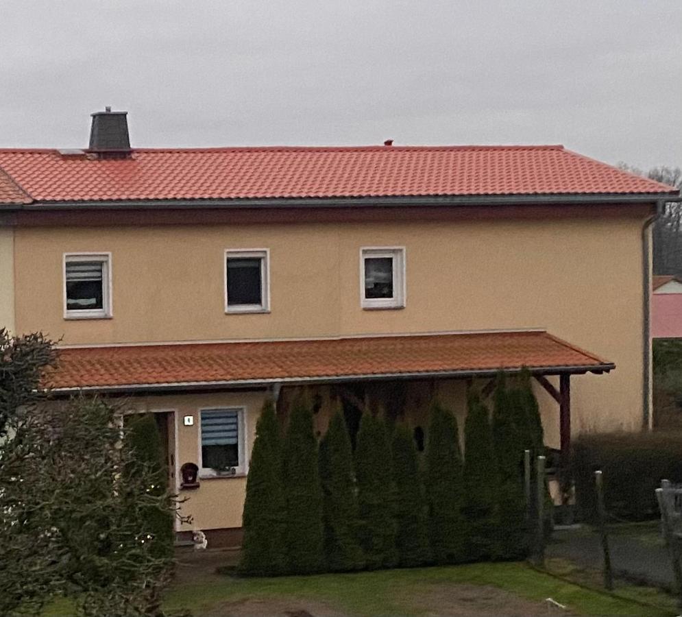 Ferienwohnung „Thea“ Bad Lausick Buitenkant foto