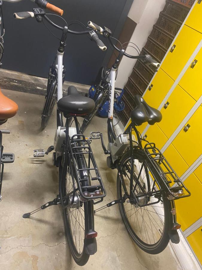 Ferienwohnung „Thea“ Bad Lausick Buitenkant foto