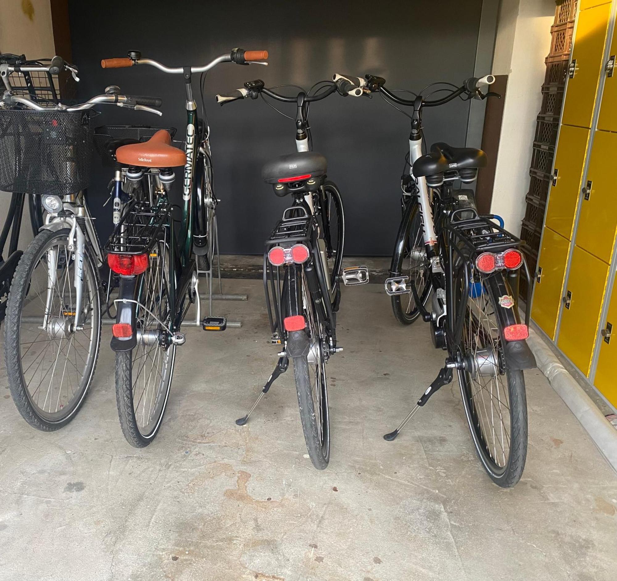 Ferienwohnung „Thea“ Bad Lausick Buitenkant foto