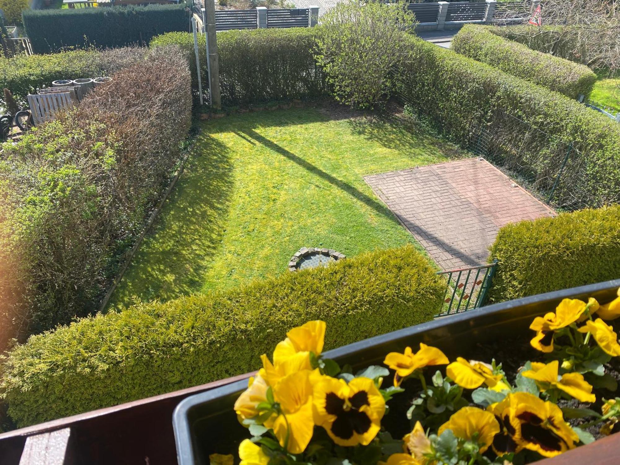 Ferienwohnung „Thea“ Bad Lausick Buitenkant foto
